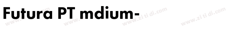 Futura PT mdium字体转换